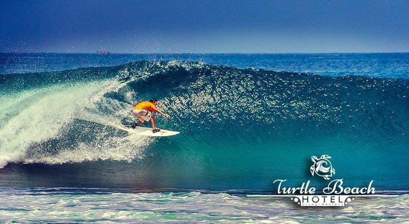 Turtle Beach Hotel Ujunggenteng Pokoj fotografie